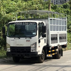 Isuzu Qkr 230 đau Vuong